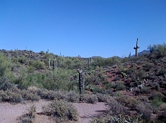 Pictures from iPhone 011